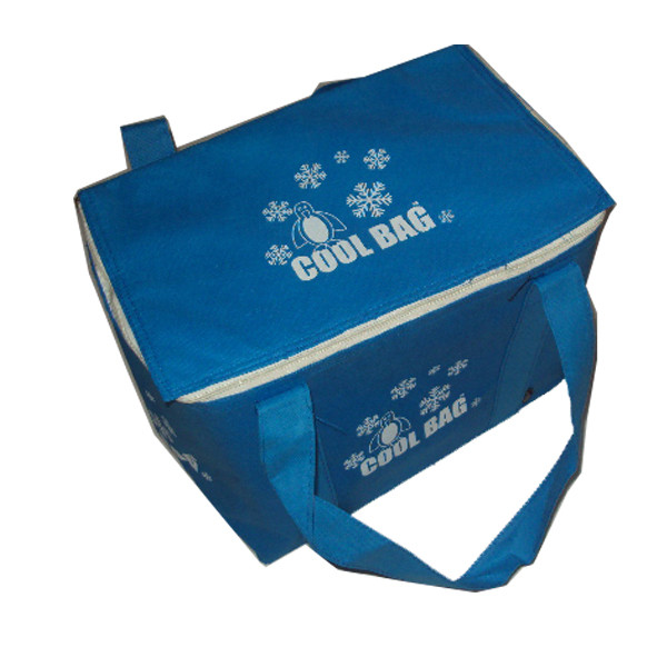 Emballages plus frais isolés par sac isolés non tissés de pique-nique de bleu faits sur commande